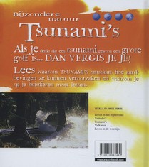 Tsunami's achterzijde