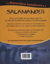 Salamander achterzijde