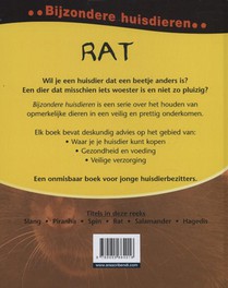 Rat achterzijde