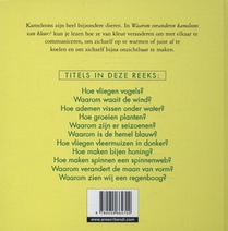 Waarom veranderen kameleons van kleur? achterzijde