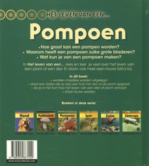 Pompoen achterzijde