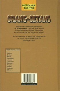 Orang oetans achterzijde