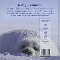 Zeehond achterzijde