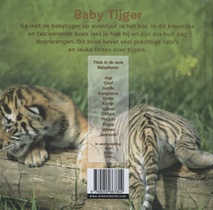 Tijger achterzijde