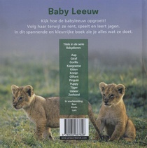Leeuw achterzijde