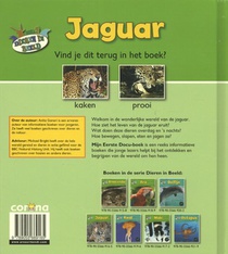 Jaguar achterzijde
