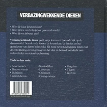 IJsberen achterzijde