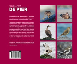 Vogels van de Pier achterzijde