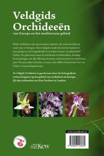 Veldgids Orchideeën achterzijde