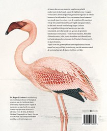 Vogels achterzijde