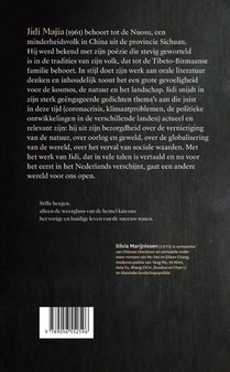 Ik schrijf gedichten omdat ik een toeval ben achterzijde