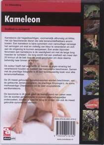 Kameleon achterzijde