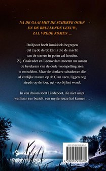 Echo in de verte achterzijde