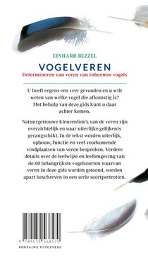 Vogelveren achterzijde