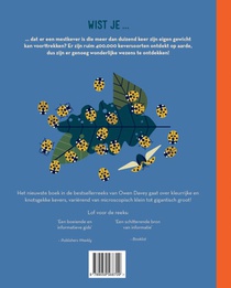 Knettergek van kevers achterzijde