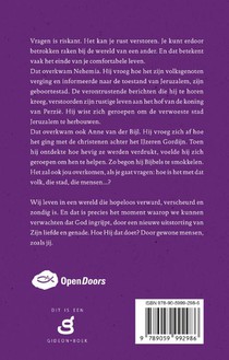 Bouwen in een verscheurde wereld achterzijde