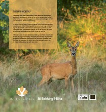 Natuur dichtbij achterzijde