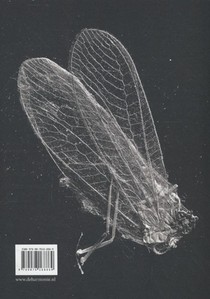 Hier kijken we naar achterzijde