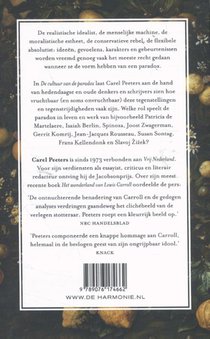 De cultuur van de paradox achterzijde