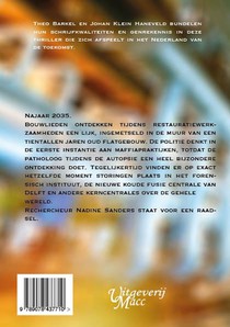 De Quantumdetectives achterzijde