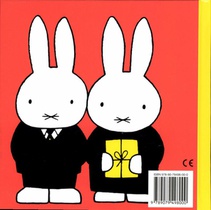 a fesa fu miffy achterzijde
