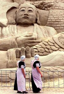 Lotus in de lage landen achterzijde