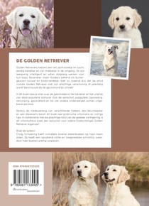 De Golden Retriever achterzijde