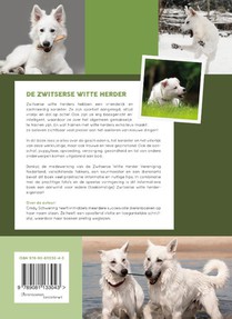 De Zwitserse witte herder achterzijde