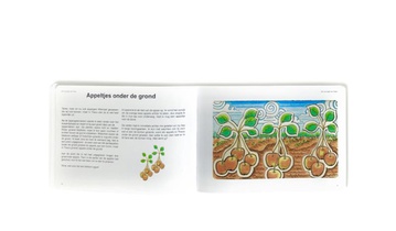 De vuurvogel van Thaos achterzijde