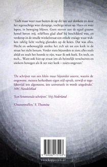 Zeer helder licht achterzijde