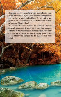 Liefdesgeschenk achterzijde