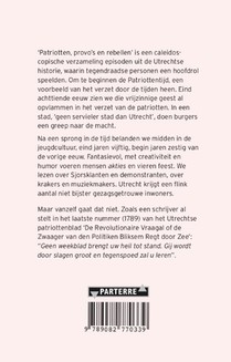 Patriotten, provo’s en rebellen achterzijde