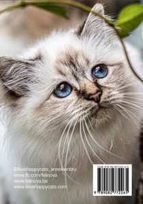 I Love Happy Cats achterzijde