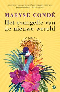 Het evangelie van de nieuwe wereld achterzijde