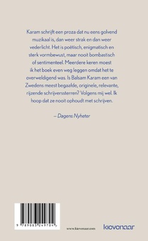 De singulariteit achterzijde