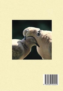Ultrakort en op alfabet achterzijde
