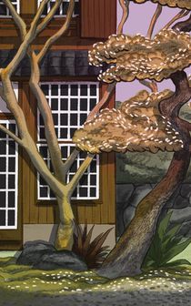 Lofzang op de schaduw achterzijde