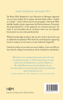 Het verdwenen dagboek achterzijde