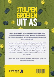 Waar tulpen groeien uit as achterzijde