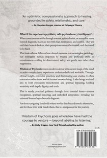 Wisdom of Psychosis achterzijde