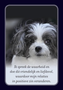 Spiegelkaarten achterkant
