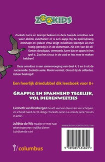 2 achterzijde