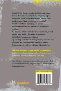 Crash achterzijde