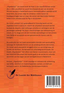 Pijpelijntjes achterzijde