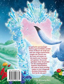 Fantasia XI achterzijde