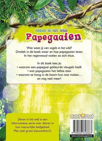 Papegaaien achterzijde