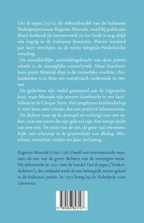 Zeekatskeletten achterzijde