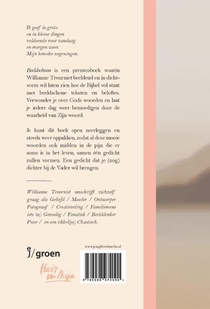 Beeldschoon achterzijde