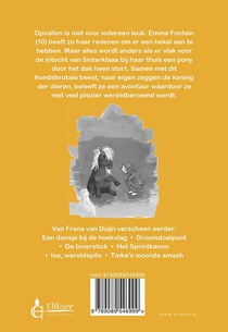 De pony van Sinterklaas achterzijde