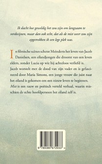 Mist achterzijde